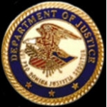 US DEPARTMENT OF JUSTICE LOGO PIN